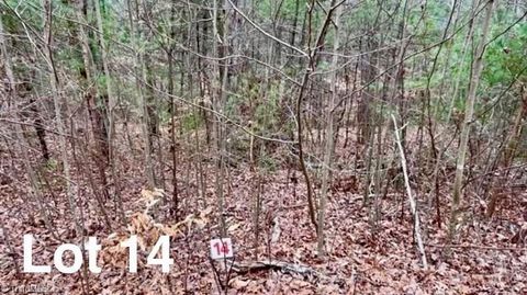 Vacant Land For Sale - LOT 14 Woods Haven Lane<br/> Patrick County, Stuart, VA 24171