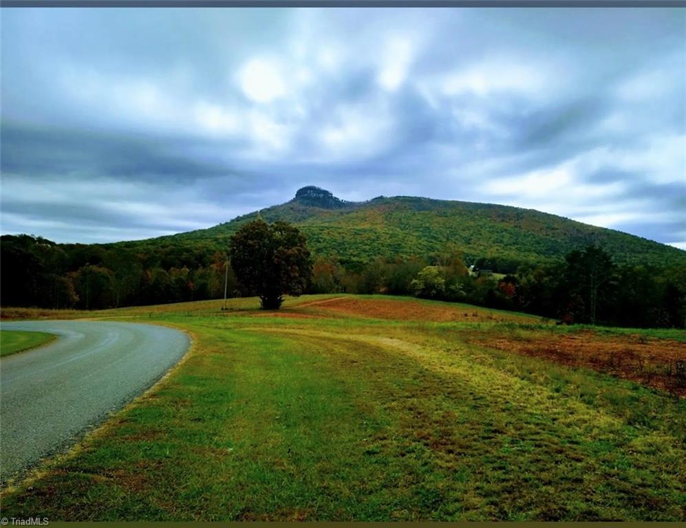 685 Golf Course Road, Pilot Mountain, North Carolina image 1