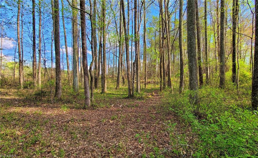 5095 Donna Marie Court, Walkertown, North Carolina image 2