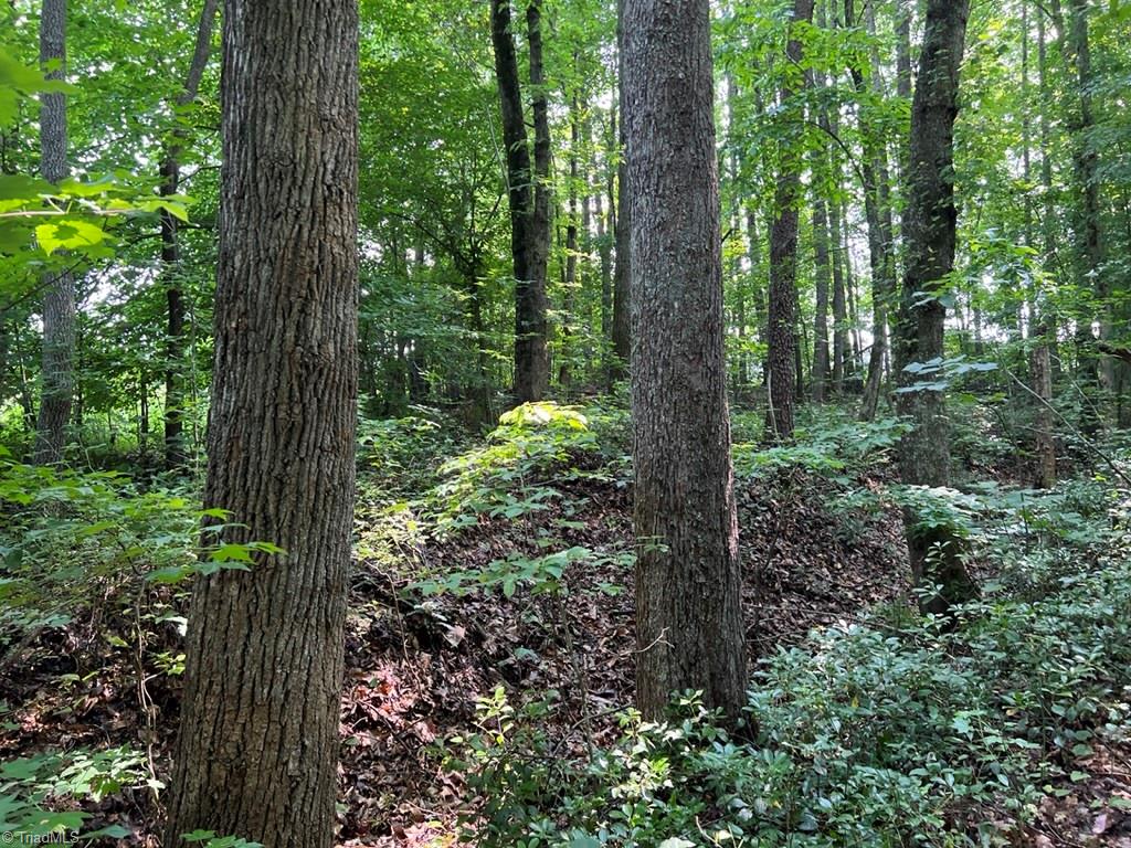 5.25 Ac Capella Ridge Road #5.25 AC, King, North Carolina image 2