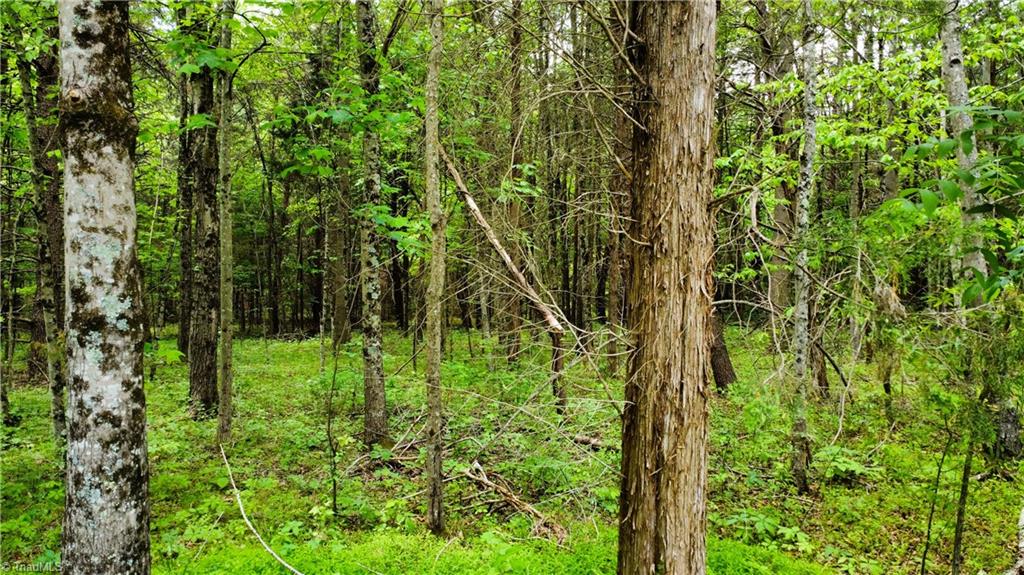 Eden Road, Stoneville, North Carolina image 5