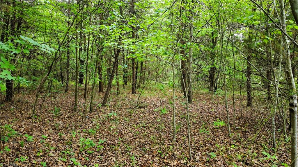 Eden Road, Stoneville, North Carolina image 6