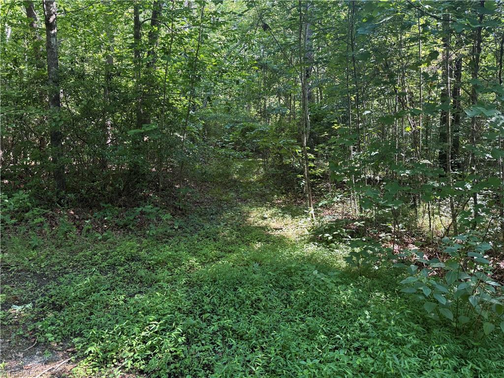 3032 Hauser Road