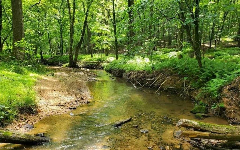 TBD Fisher Valley Road, Dobson, North Carolina image 8