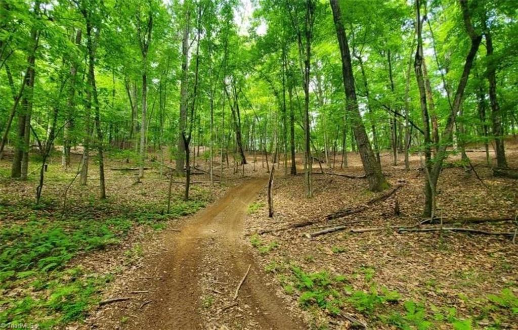 TBD Fisher Valley Road, Dobson, North Carolina image 9