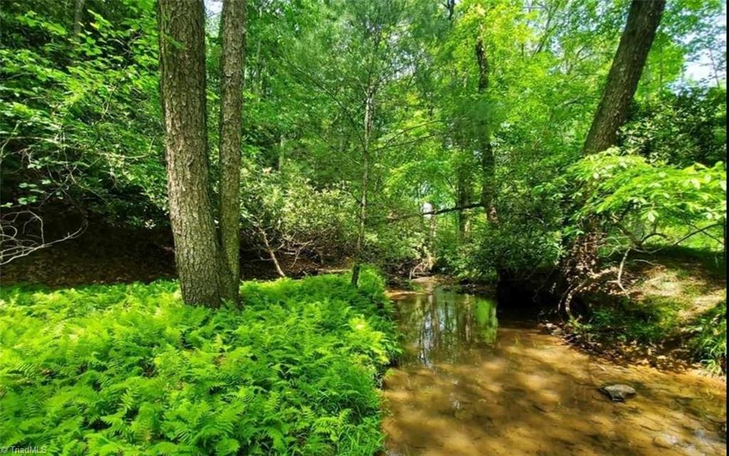 TBD Fisher Valley Road, Dobson, North Carolina image 5