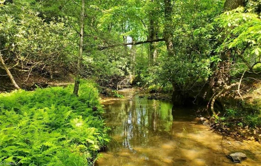 TBD Fisher Valley Road, Dobson, North Carolina image 1