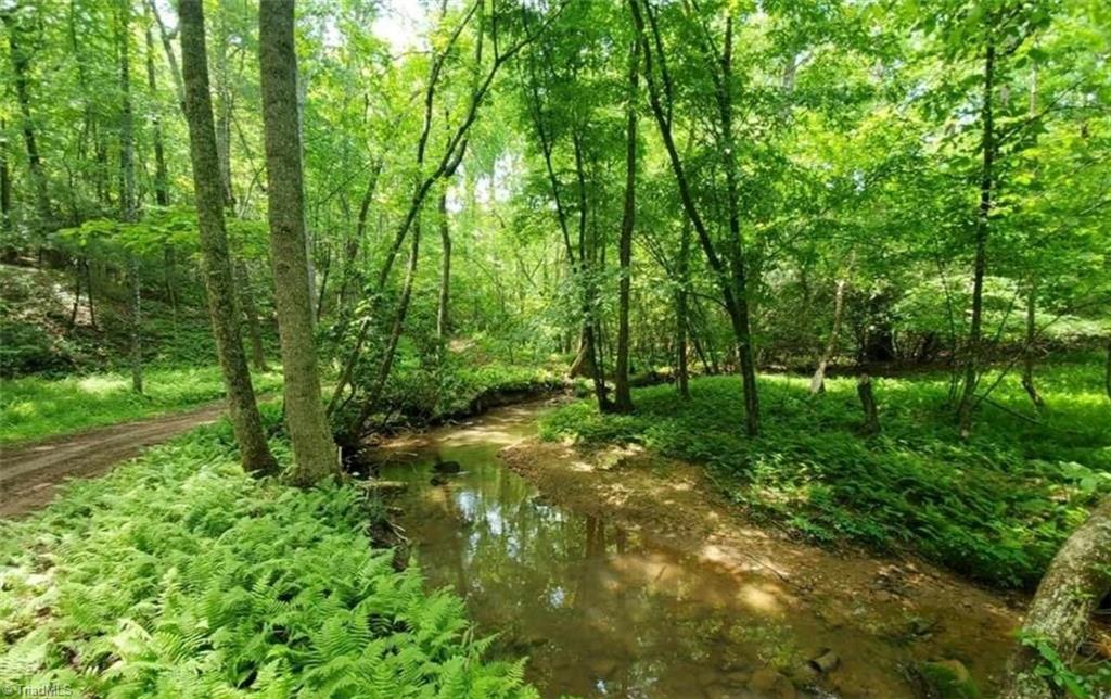 TBD Fisher Valley Road, Dobson, North Carolina image 2