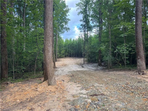 Vacant Land For Sale - TRACT 5 Dover Church Road<br/> Seagrove, NC 27341