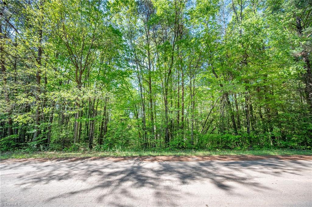 000 Carrington Drive, Mount Airy, North Carolina image 4