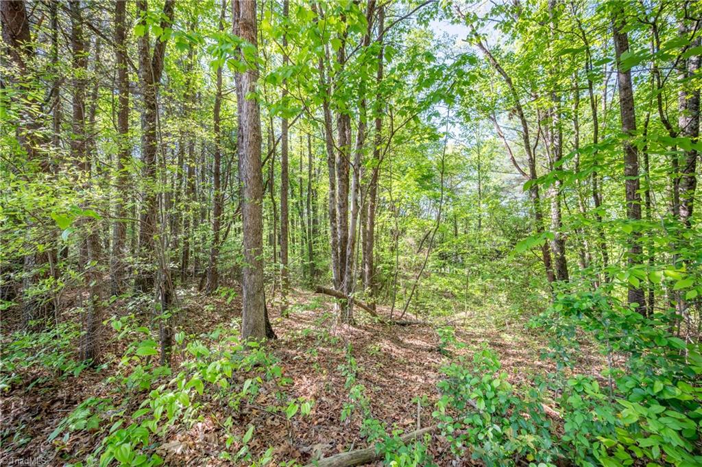 000 Carrington Drive, Mount Airy, North Carolina image 21