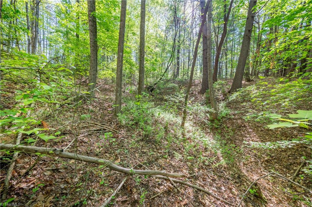 000 Carrington Drive, Mount Airy, North Carolina image 18