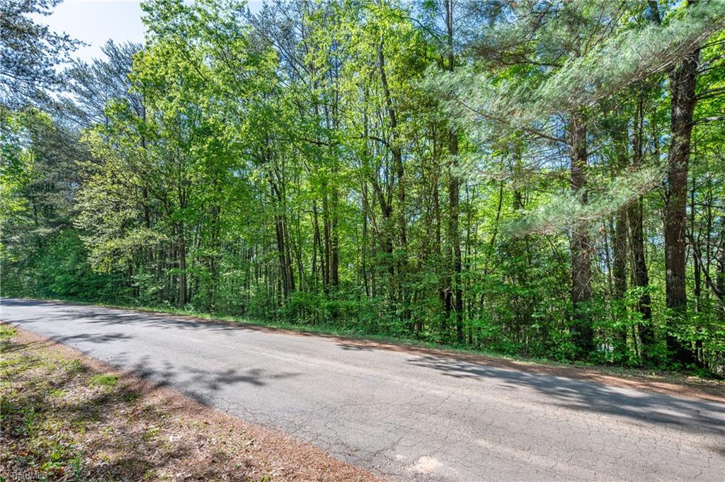 000 Carrington Drive, Mount Airy, North Carolina image 3