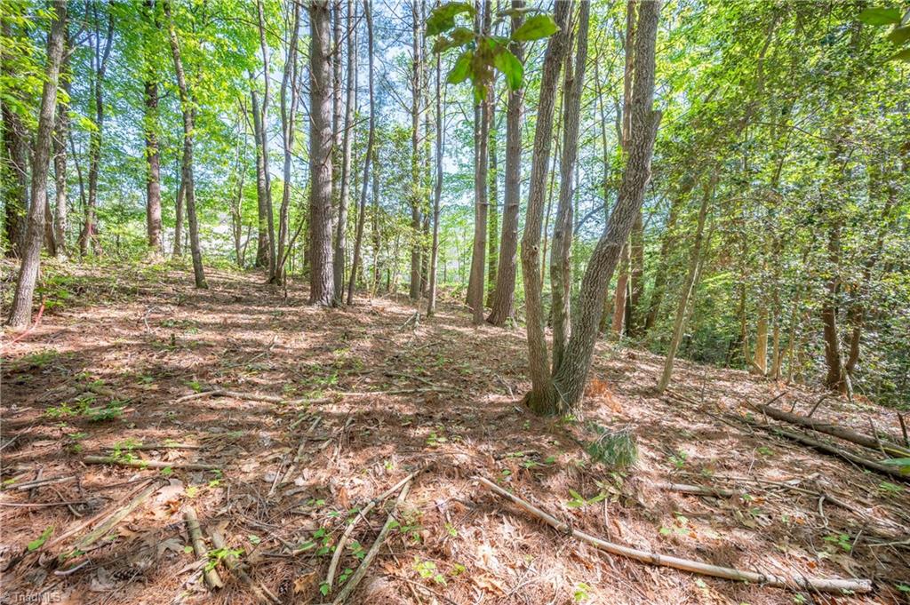 000 Carrington Drive, Mount Airy, North Carolina image 9