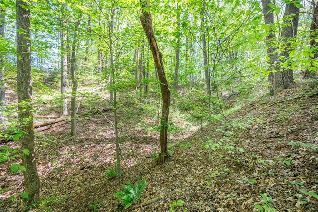 000 Carrington Drive, Mount Airy, North Carolina image 17