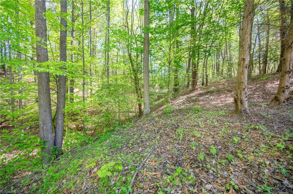 000 Carrington Drive, Mount Airy, North Carolina image 16
