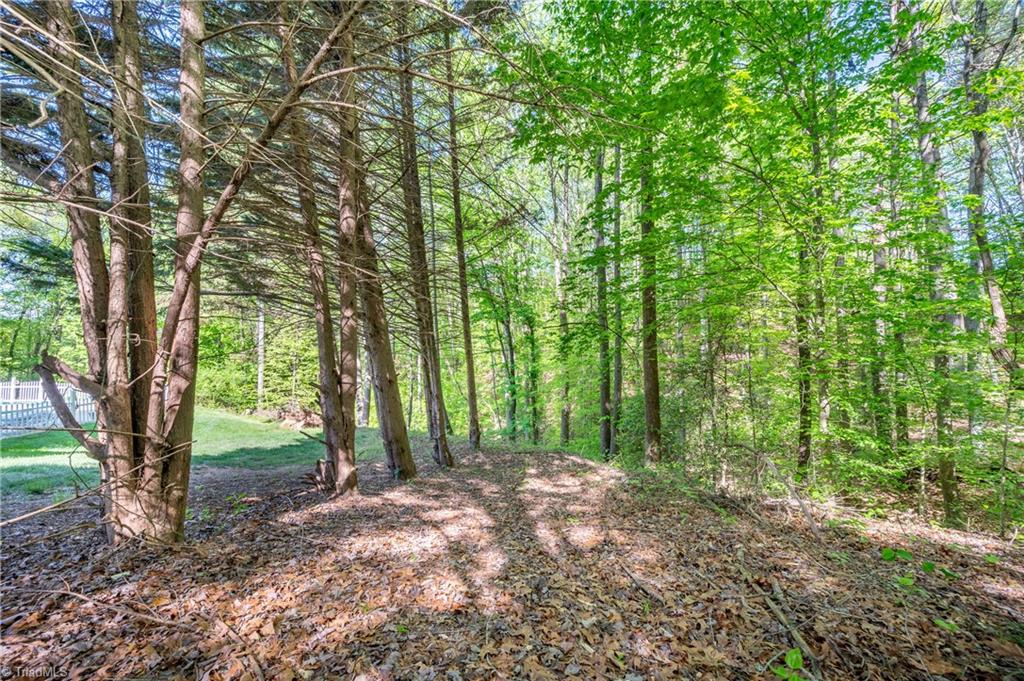 000 Carrington Drive, Mount Airy, North Carolina image 15