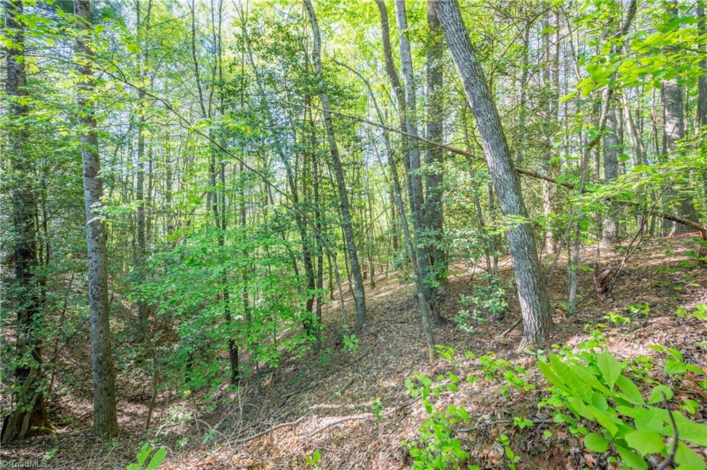 000 Carrington Drive, Mount Airy, North Carolina image 8