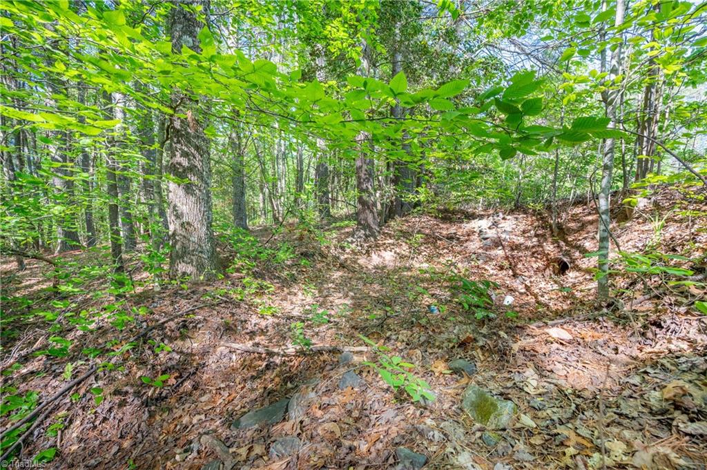 000 Carrington Drive, Mount Airy, North Carolina image 7