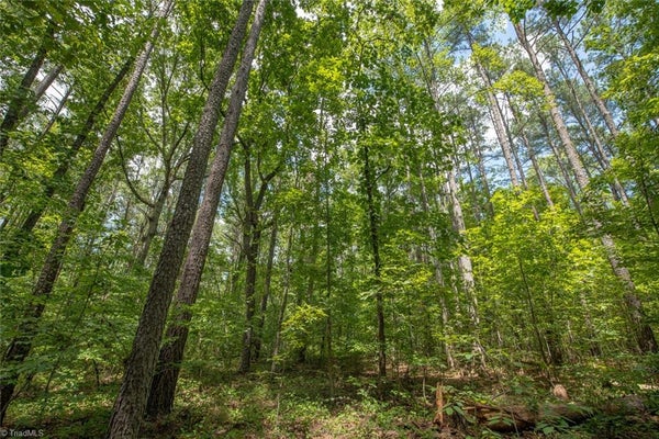8942 SPEARMAN RD, REIDSVILLE, NC 27320 - Image a3fba7668d356f1f3075bc18cf47ab02/2380869732