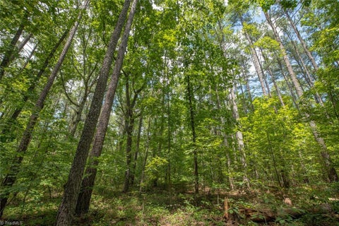 Vacant Land For Sale - 8942 Spearman Road<br/> Reidsville, NC 27320
