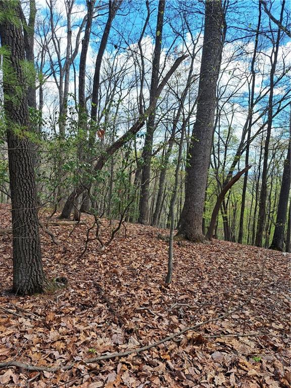 TBD Mountain View Drive, Lowgap, North Carolina image 3