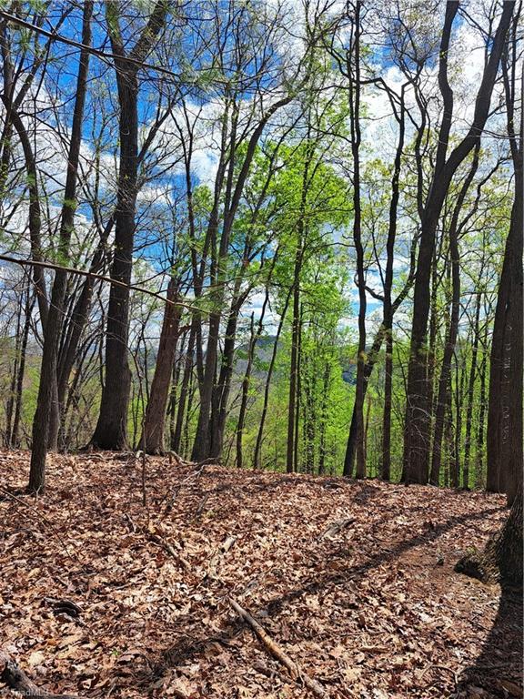 TBD Mountain View Drive, Lowgap, North Carolina image 8