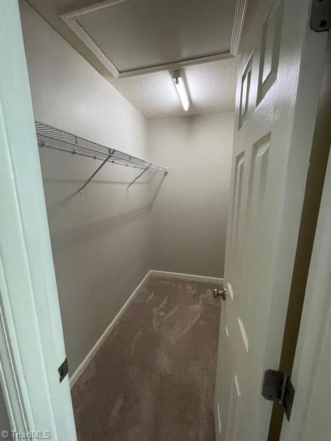 327 Malamute Lane, Greensboro, North Carolina image 13