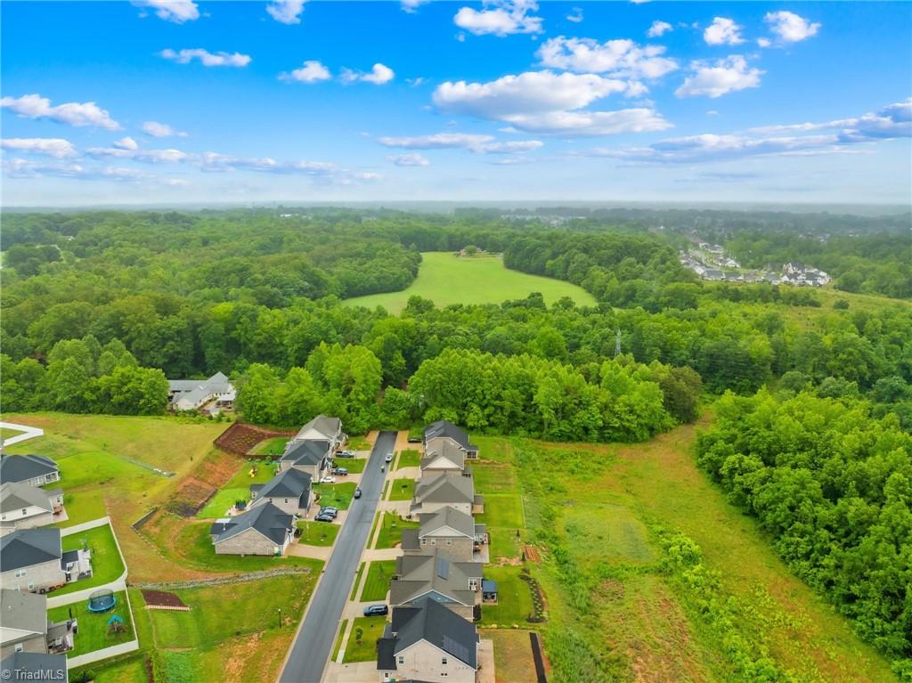 6224 Kershaw Meadows Road, Pfafftown, North Carolina image 41