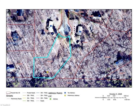 Photo of 6530 Treetop Court, Snow Camp, NC 27349 (MLS # 1198711)