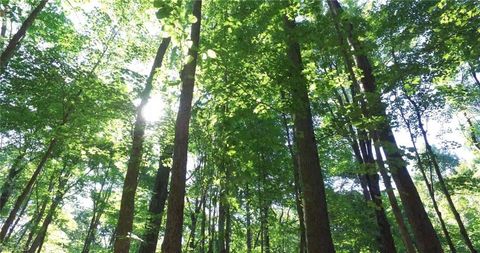 Vacant Land For Sale - 00 Lasater Road<br/> Forsyth County, Clemmons, NC 27012