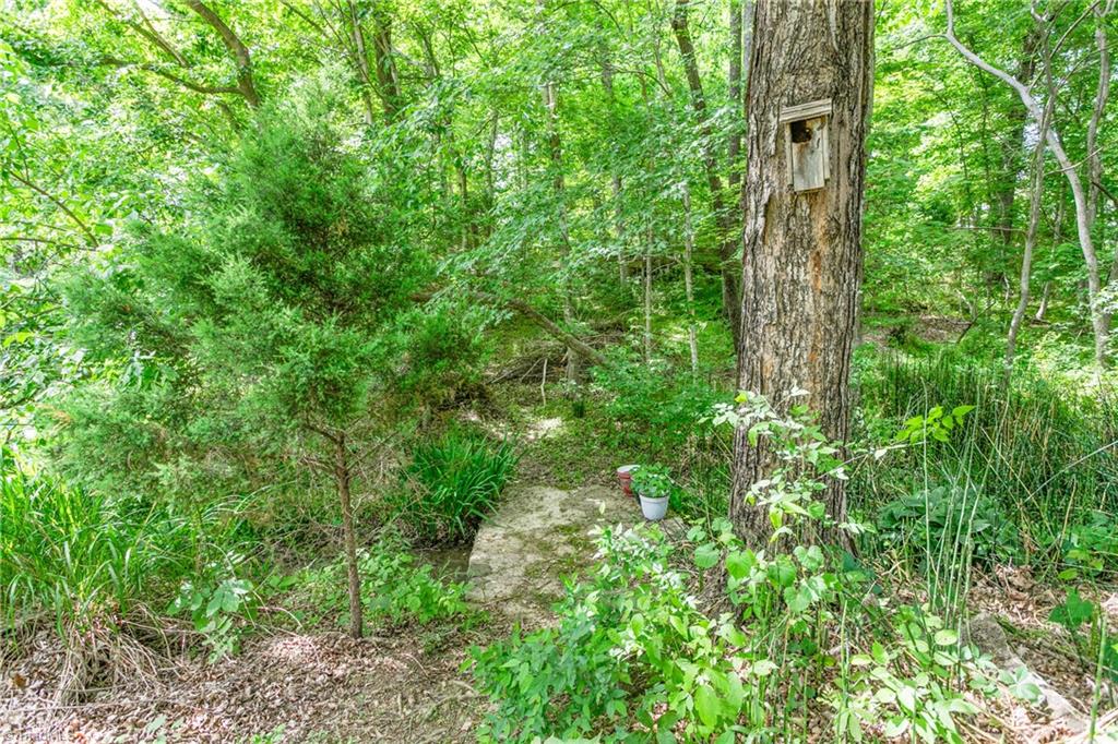 2440 Glencoe Street, Burlington, North Carolina image 25