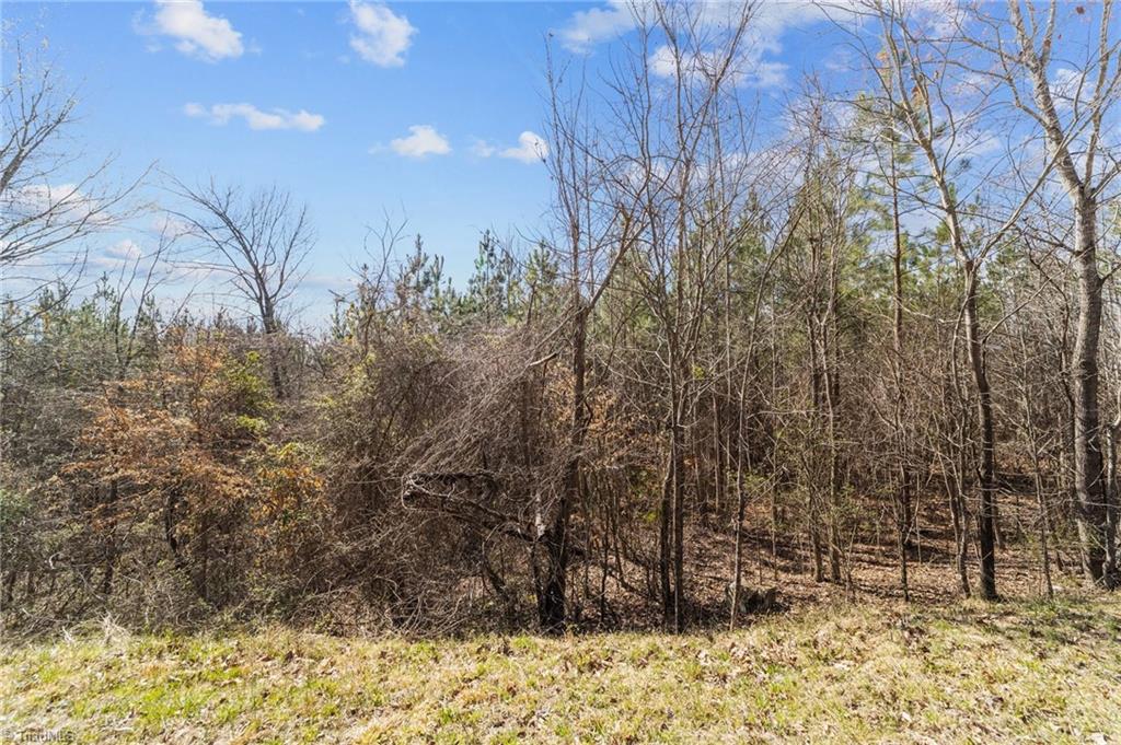 2620/2640/2648 Minden Road, Pleasant Garden, North Carolina image 15