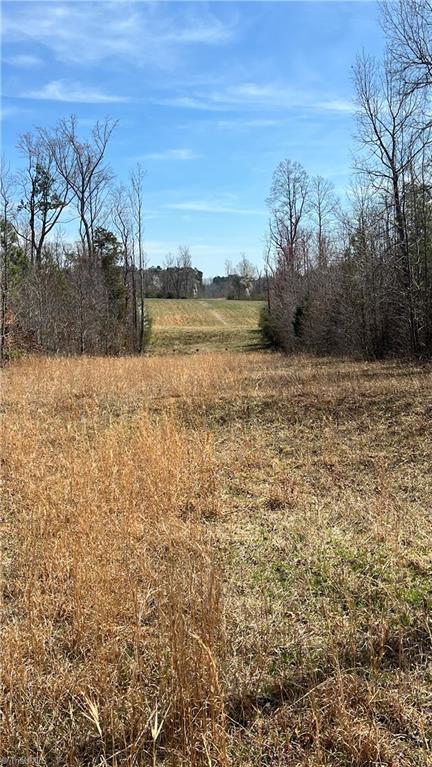 2620/2640/2648 Minden Road, Pleasant Garden, North Carolina image 17