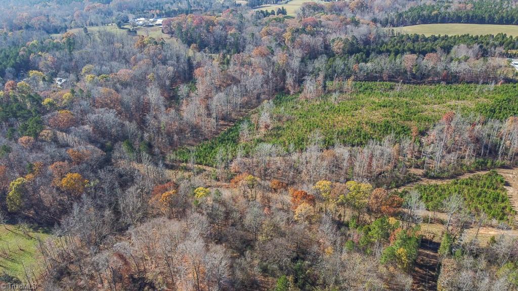 Hartley Road, Lexington, North Carolina image 15