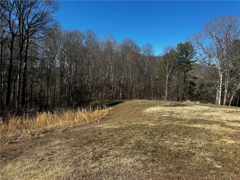 2521 Old 60, Wilkesboro, North Carolina image 11