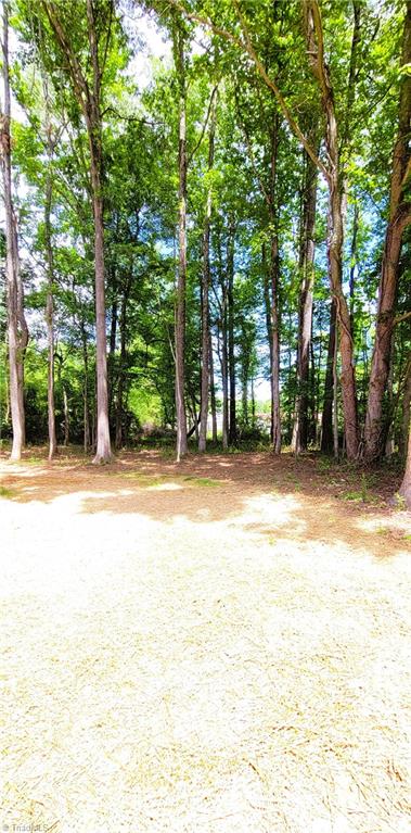 490 W Dameron Avenue, Liberty, North Carolina image 40