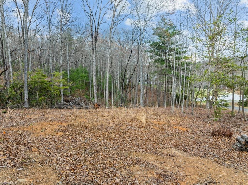 1990 Holly Springs Road, Mount Airy, North Carolina image 14