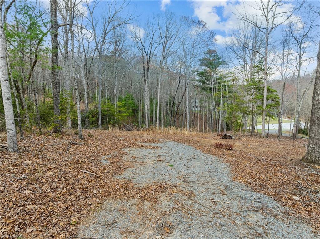 1990 Holly Springs Road, Mount Airy, North Carolina image 13