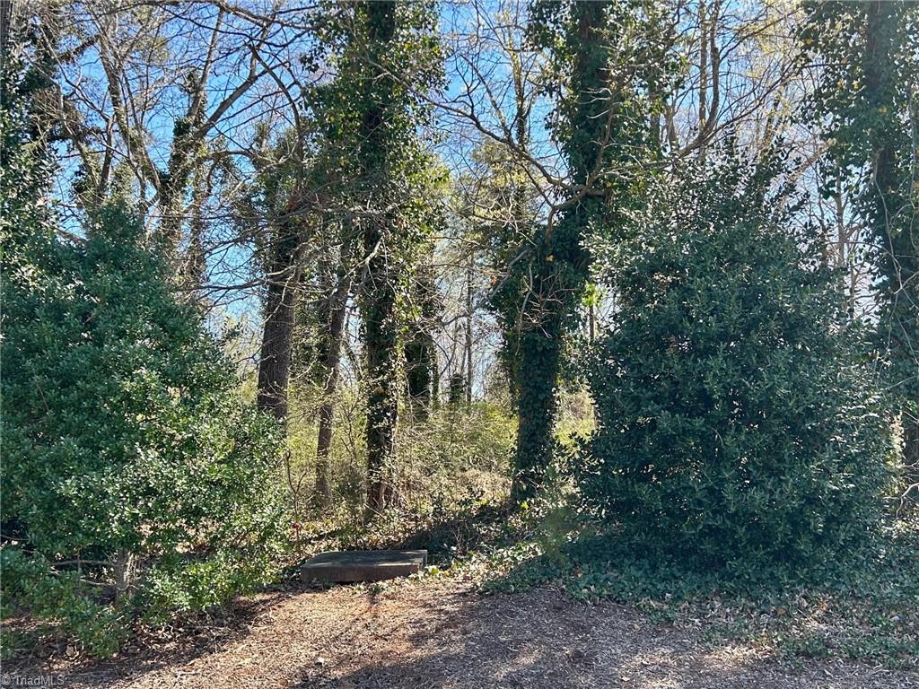 Milling Road, Mocksville, North Carolina image 5
