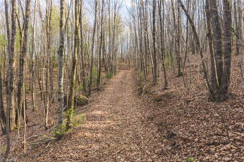 Photo of 2 All Healing Springs Road, Taylorsville, NC 28681 (MLS # 1214770)