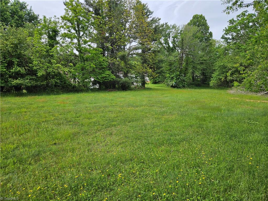 TBD E Cheek Street, Sparta, North Carolina image 3