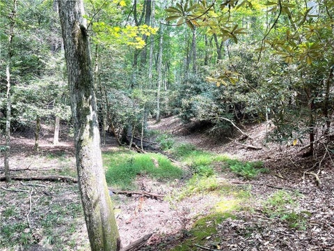 Vacant Land For Sale - TBD Buck Drive<br/> Hays, NC 28649