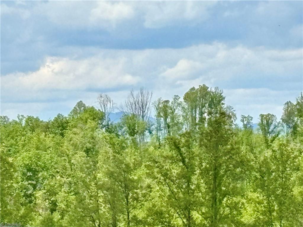 155 Page Farm Road, Mount Airy, North Carolina image 34