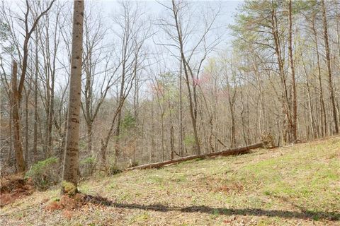 Vacant Land For Sale - Seven Island Road<br/> Danbury, NC 27016