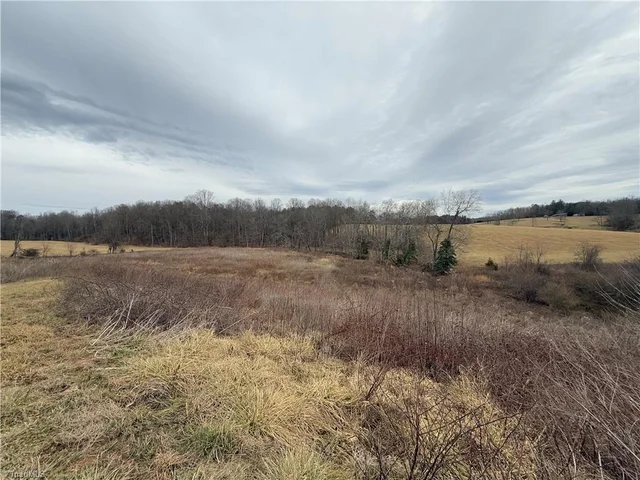 241 Mountain Valley Drive, photo 4 of 24