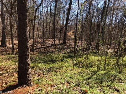 Vacant Land For Sale - 214 Holly Lane<br/> Mocksville, NC 27028