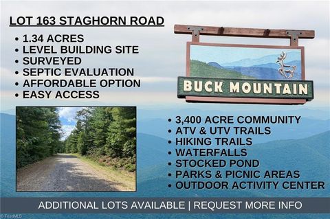 Vacant Land For Sale - LOT 163 Staghorn Road<br/> Purlear, NC 28665