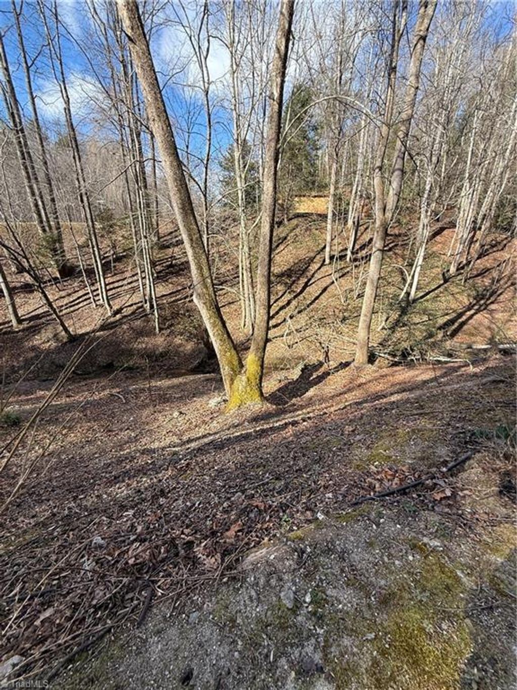 Photo of 2378 Mount Zion Road, Ferguson, NC 28624 (MLS # 1210854)