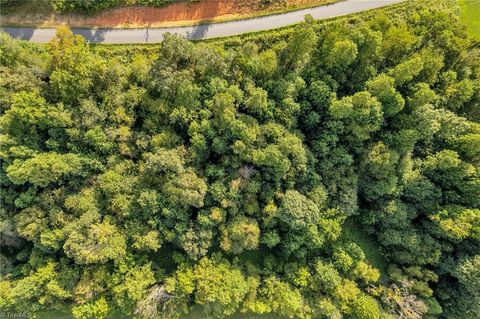 Vacant Land For Sale - LOT 19 Regal Oaks Drive<br/> Wilkesboro, NC 28697